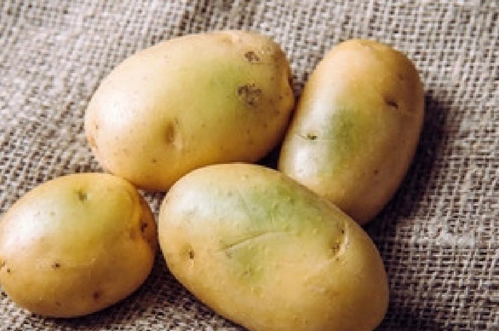 Why Are Potatoes Called Spuds? Smarter Potato Company